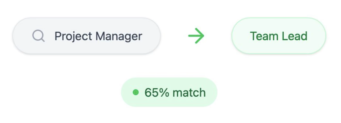 Project Manager ➜ Team Lead flow with 65% match